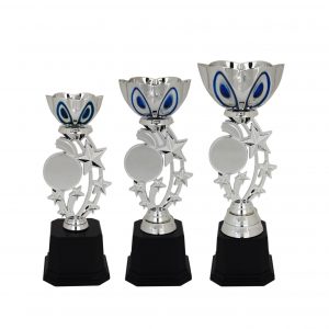 Acrylic Trophy AC4023 – Acrylic Bowl & Star Trophy