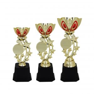 Acrylic Trophy AC4024 – Acrylic Bowl & Star Trophy