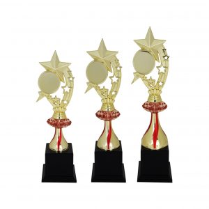 Acrylic Trophy AC4025 – Acrylic Star Trophy