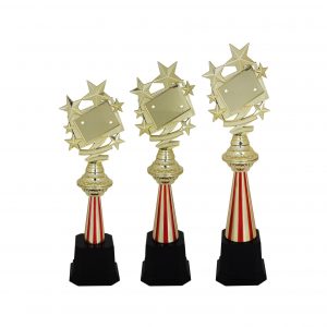 Acrylic Trophy AC4026 – Acrylic Star Trophy