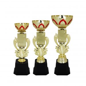 Acrylic Trophy AC4033 – Acrylic Bowl & Star Trophy