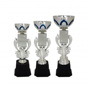 Acrylic Trophy AC4034 – Acrylic Bowl & Star Trophy