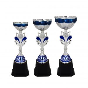 Acrylic Trophy AC4035 – Acrylic Bowl Trophy