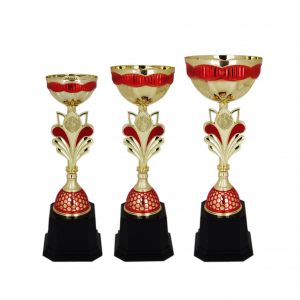 Acrylic Trophy AC4036 – Acrylic Bowl Trophy