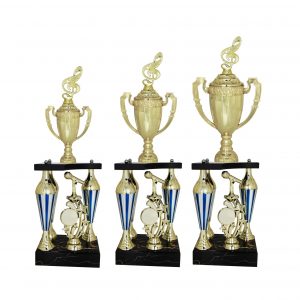 Acrylic Trophy AC4042 – Acrylic Music & Microphone Trophy