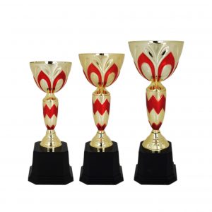 Acrylic Trophy AC4047 – Acrylic Bowl Trophy