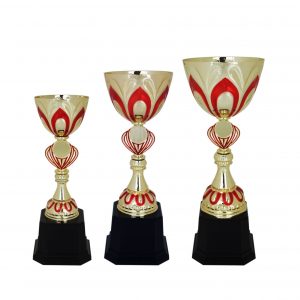 Acrylic Trophy AC4052 – Acrylic Bowl