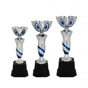 Acrylic Trophy AC4066 – Acrylic Bowl