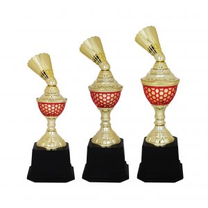 Acrylic Trophy AC4070 – Acrylic Badminton