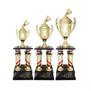 Acrylic Trophy
