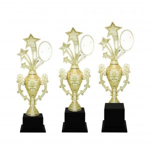Acrylic Trophy AC4079 – Acrylic Star + Flower