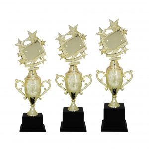 Acrylic Trophy AC4080 – Acrylic Star