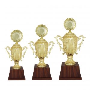 Acrylic Trophy AC4083 – Acrylic Trophy
