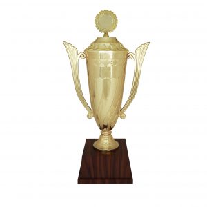Acrylic Trophy AC4089 – Acrylic Trophy