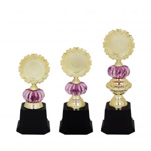 Acrylic Trophy AC4092 – Acrylic Trophy