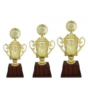 Acrylic Trophy AC4094 – Acrylic Trophy