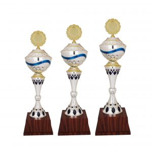 Acrylic Trophy AC4101 – Acrylic Trophy