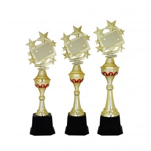 Acrylic Trophy AC4103 – Acrylic Star