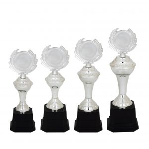 Acrylic Trophy AC4105 – Acrylic Trophy