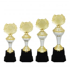 Acrylic Trophy AC4106 – Acrylic Trophy