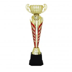 Acrylic Trophy AC4111 – Acrylic Trophy