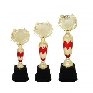 Acrylic Trophy AC4112 – Acrylic Trophy