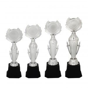 Acrylic Trophy AC4115 – Acrylic Trophy