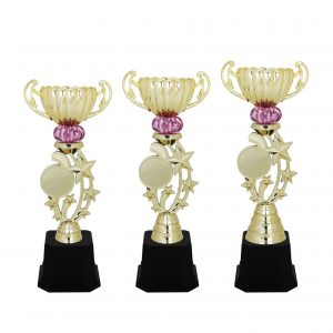 Acrylic Trophy AC4119 – Acrylic Star Trophy