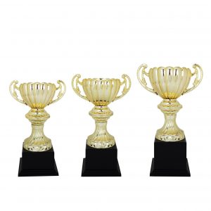 Acrylic Trophy AC4124 – Acrylic Trophy