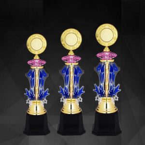 Acrylic Trophy AC4129 – Acrylic Trophy