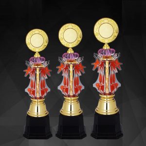 Acrylic Trophy AC4131 – Acrylic Trophy