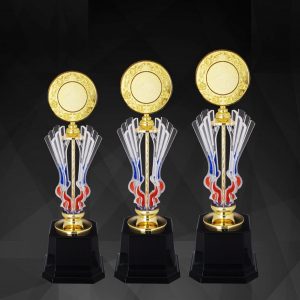 Acrylic Trophy AC4132 – Acrylic Trophy