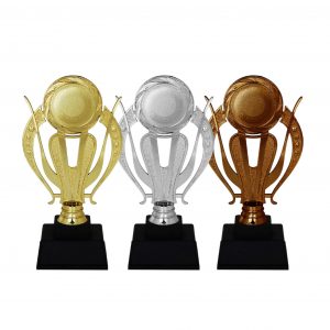 Acrylic Trophy AC4169 – Acrylic Trophy