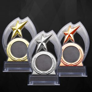 Acrylic Trophy AC4172 – Acrylic Plaque Star