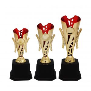 Acrylic Trophy AC4181 – Acrylic Trophy