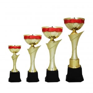 Acrylic Trophy AC4190 – Acrylic Bowl Trophy