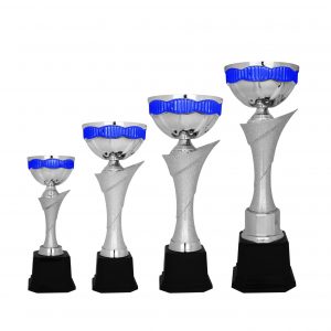 Acrylic Trophy AC4191 – Acrylic Bowl Trophy