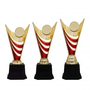 Acrylic Trophy AC4203 – Acrylic Trophy