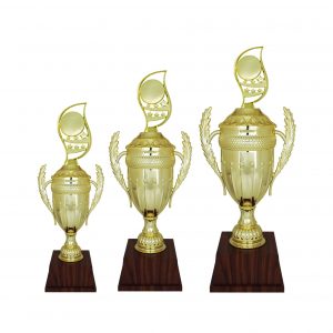 Acrylic Trophy AC4206 – Acrylic Trophy
