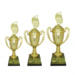 Acrylic Trophy AC4207 – Acrylic Trophy