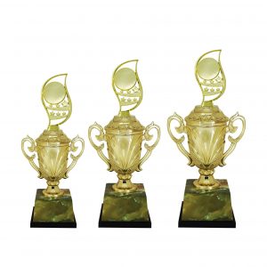 Acrylic Trophy AC4208 – Acrylic Trophy