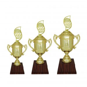 Acrylic Trophy AC4209 – Acrylic Trophy