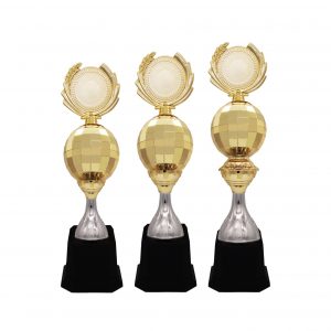 Acrylic Trophy AC4214 – Acrylic Trophy