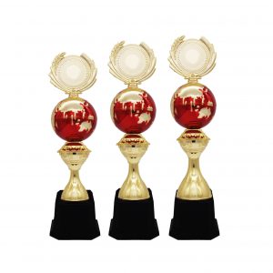 Acrylic Trophy AC4215 – Acrylic Globe Trophy