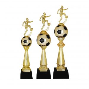 Acrylic Trophy AC4219 – Acrylic Football Trophy