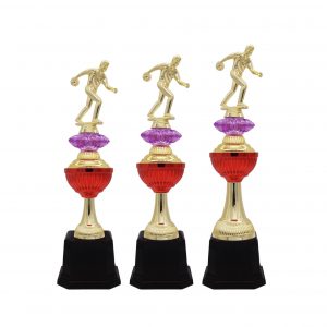 Acrylic Trophy AC4233 – Acrylic Bowling