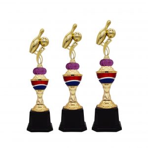 Acrylic Trophy AC4236 – Acrylic Bowling