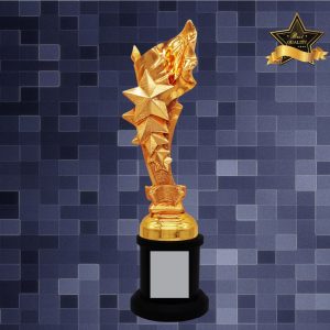 Sculpture Trophy AC4286 – Exclusive Star Sculptures Awards