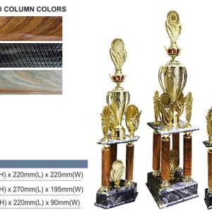 Acrylic Trophy AC4308 – Acrylic Trophy Acrylic Trophy AC4308 – Acrylic Trophy