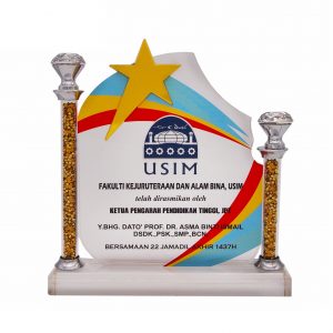 Crystal Plaques CR3081 – Exclusive Crystal Star Plaque